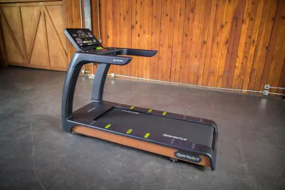 ステータス T676 トレッドミル